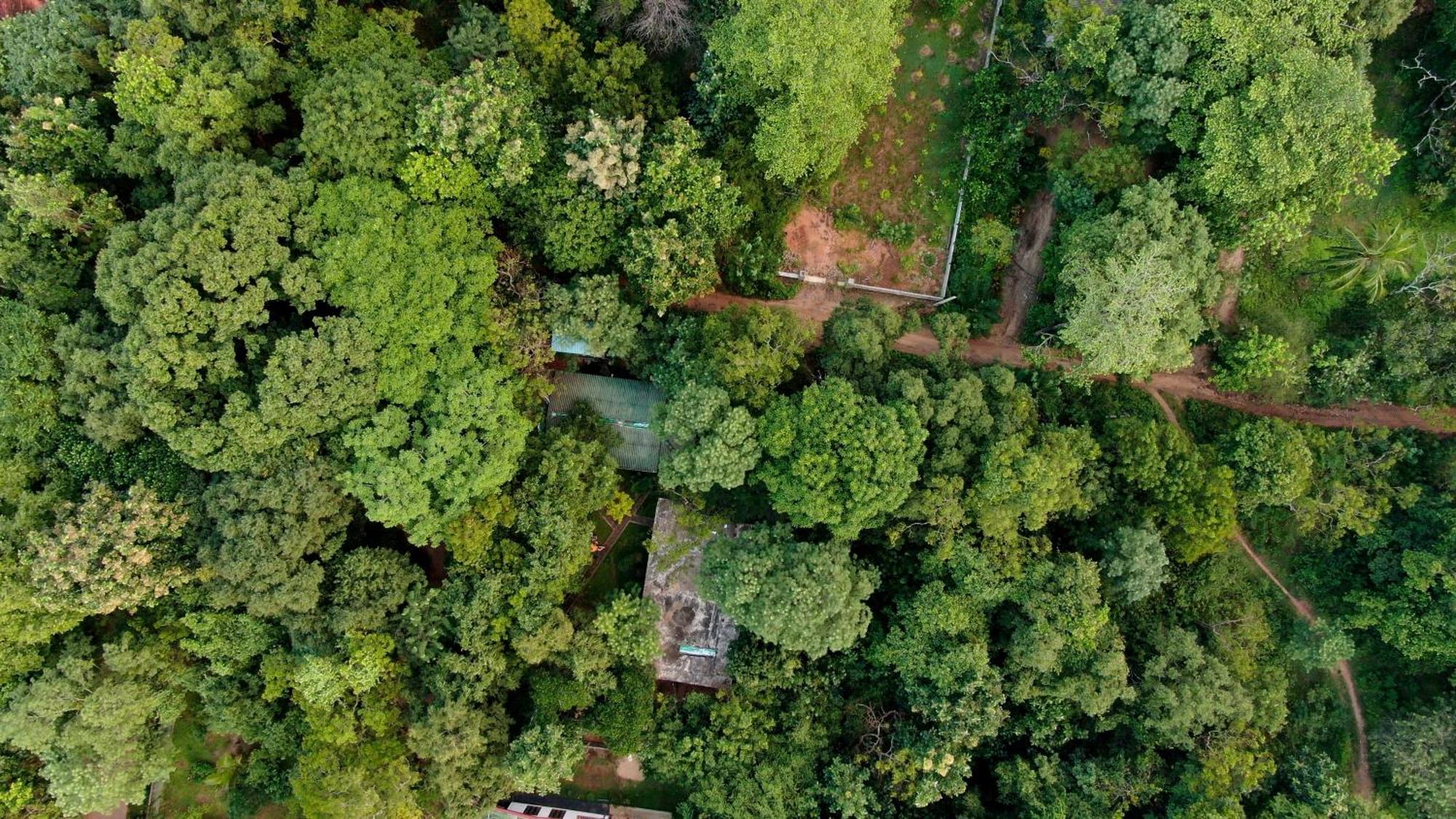 Woodsy Villa Sigiriya Exterior foto