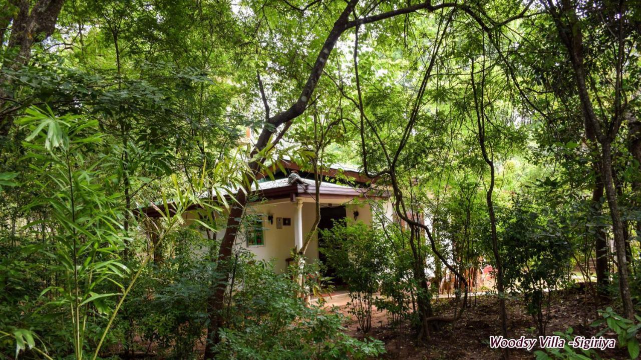 Woodsy Villa Sigiriya Exterior foto