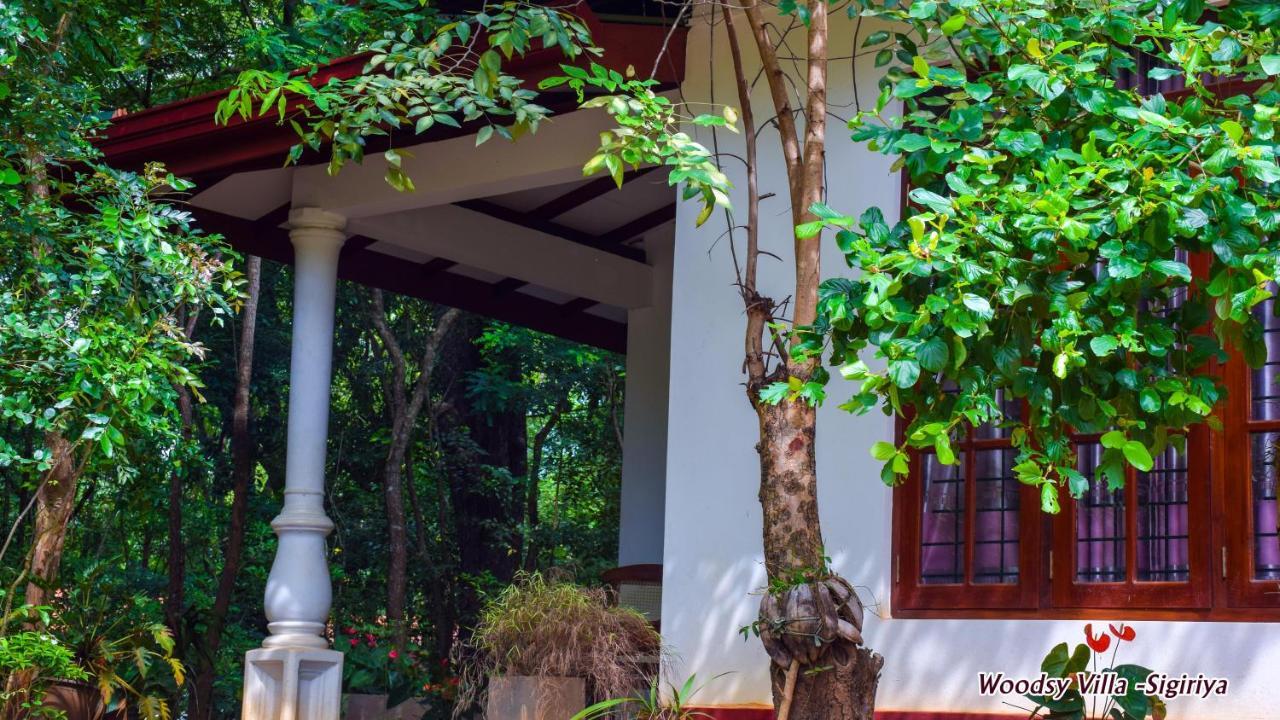 Woodsy Villa Sigiriya Exterior foto