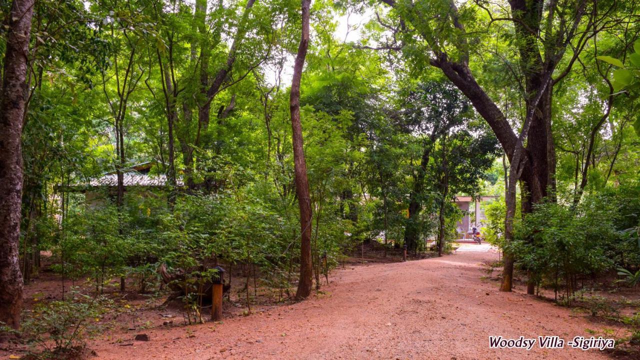 Woodsy Villa Sigiriya Exterior foto